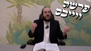 פרשה ווייבס - פרשה נח